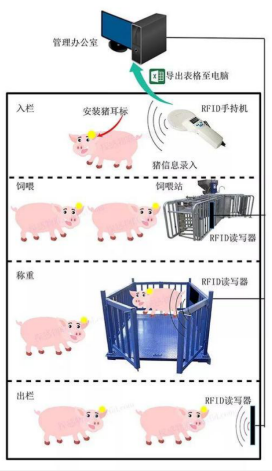 戴上這枚耳標(biāo)，你就是一只有身份的豬- 0402 new1166.png